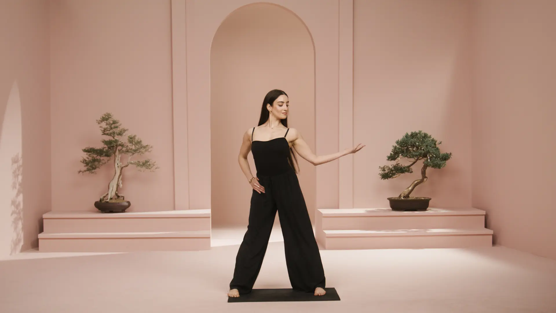 TRACY ANDERSON WORKOUT TALENT B BLACK FIT FREE ARM SYNC.00 00 39 22.Still001