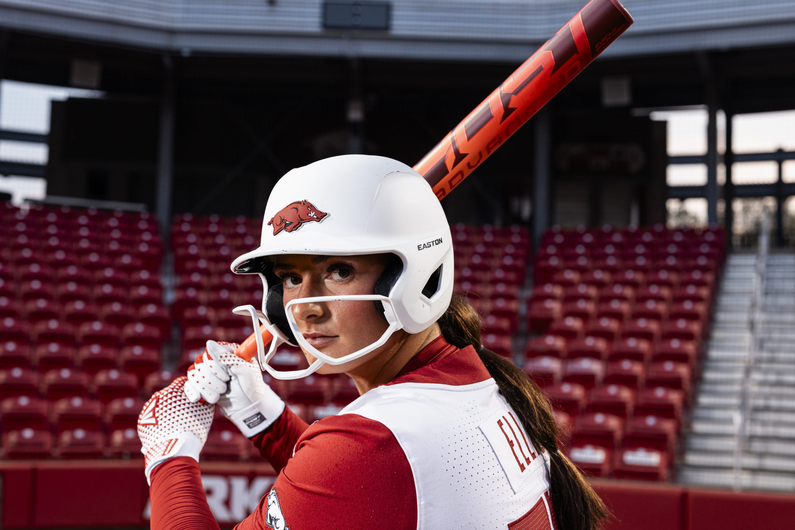 Arkansas Updated 17 scaled